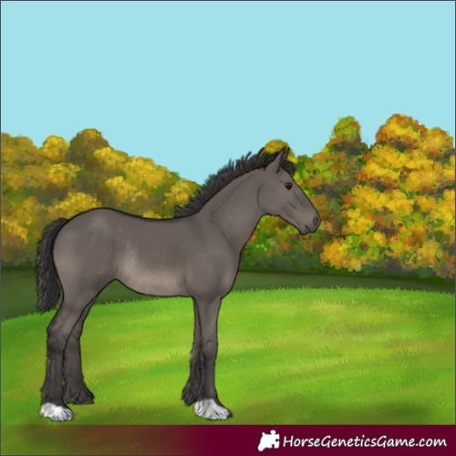 Horse Color:Smoky Grullo Rabicano 
