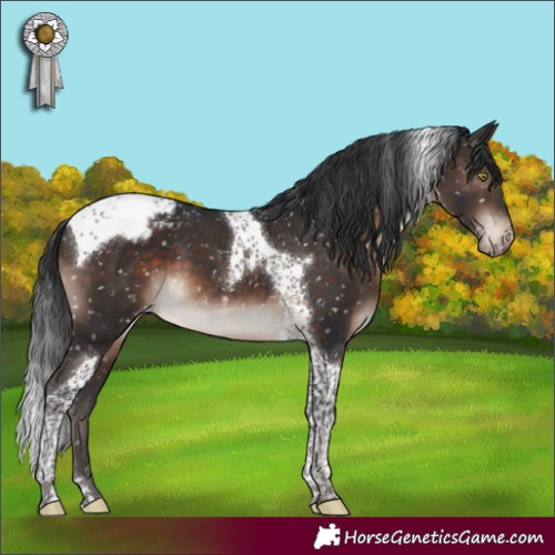 Horse Color:Brown Mushroom Tobiano Snowcap 