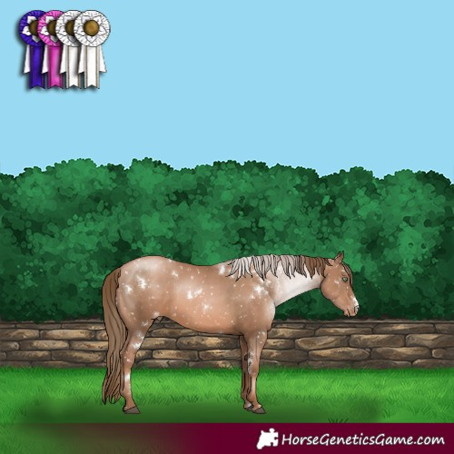 Horse Color:White Spotted Liver Chestnut Pearl Snowflake Varnish