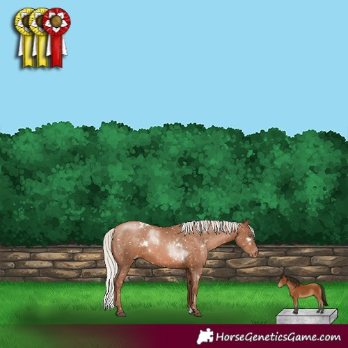 Horse Color:White Spotted Silver Brown Pearl Snowflake Varnish