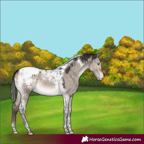 Horse Color:Brown Dun Mushroom Tobiano Snowcap