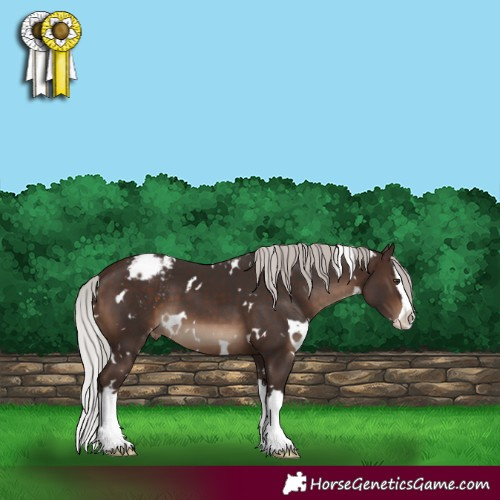 Horse Color:White Spotted Silver Brown Splash Varnish