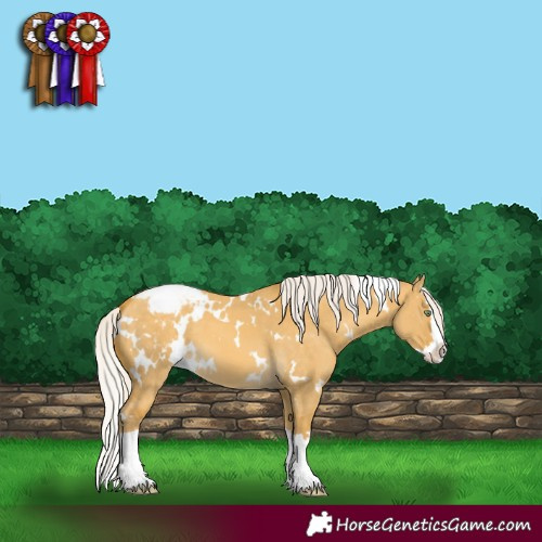 Horse Color:White Spotted Silver Sable Cream Champagne Dun Splash Varnish