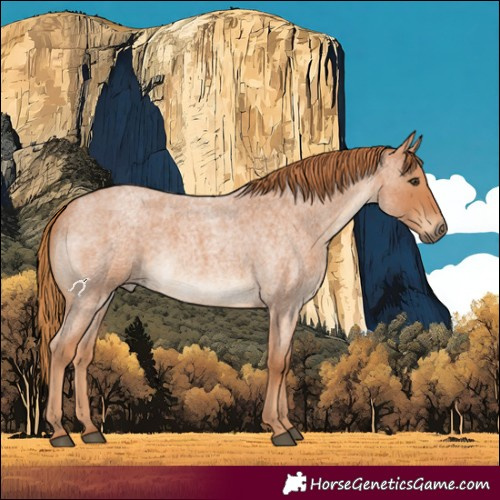 Horse Color:Red Roan