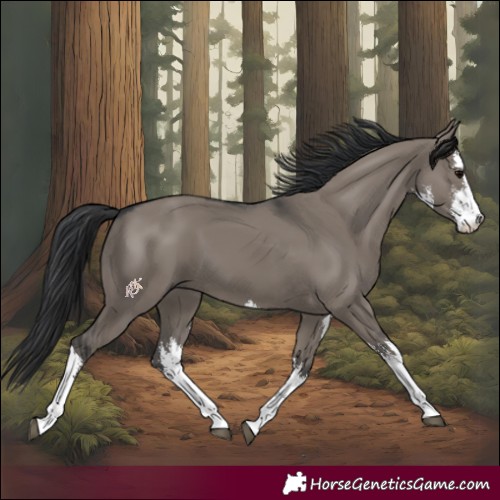 Horse Color:White Spotted Grullo