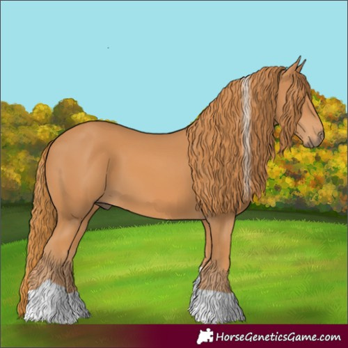 Horse Color:Unknown 