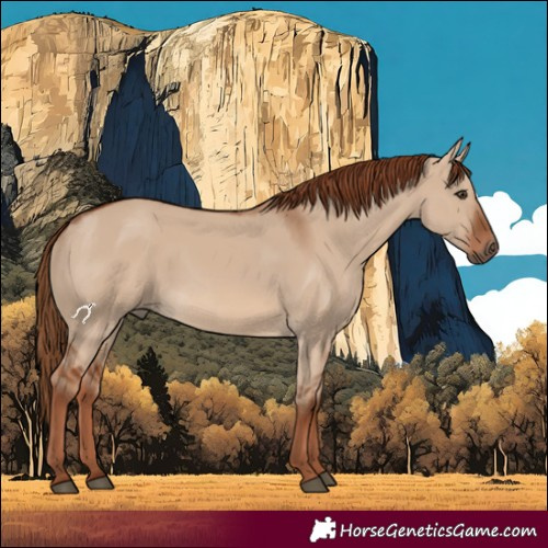 Horse Color:Red Dun 