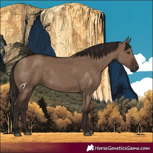 Horse Color:Liver Red Dun 