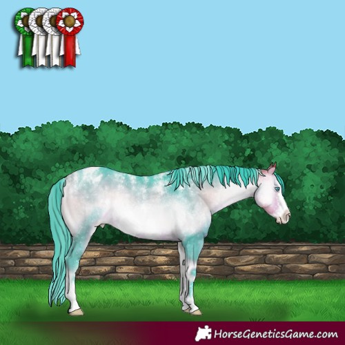 Horse Color:Powder White Watercolor Buckskin Onyx Sabino Frame Varnish Rabicano 