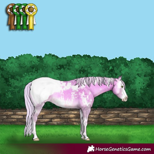 Horse Color:Watercolor White Spotted Silver Sable Cream Champagne Onyx Sabino Varnish 