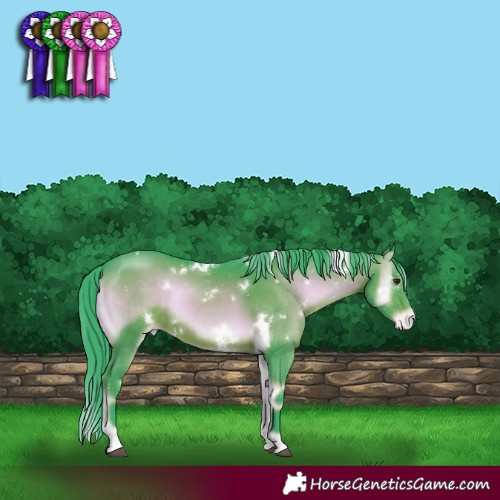 Horse Color:Watercolor White Spotted Liver Red Onyx Varnish 