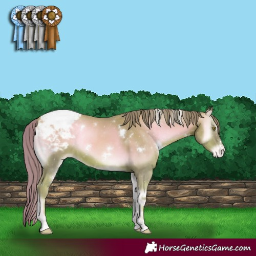Horse Color:Watercolor White Spotted Gold Champagne Onyx Varnish Rabicano 