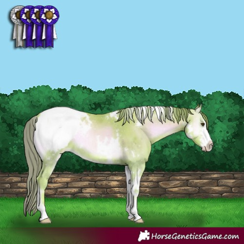 Horse Color:Watercolor White Spotted Gold Champagne Onyx Sabino Varnish Rabicano 