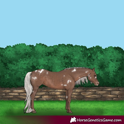 Horse Color:White Spotted Silver Black Varnish 