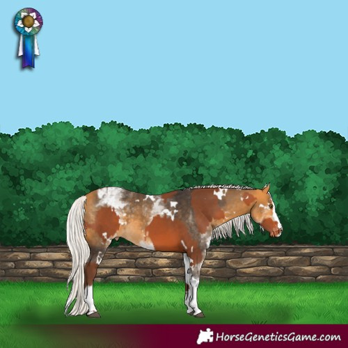 Horse Color:White Spotted Silver Bay Varnish and White Spotted Silver Buckskin Splash Varnish