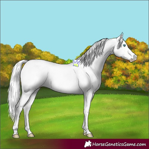Horse Color:Cremello Dun