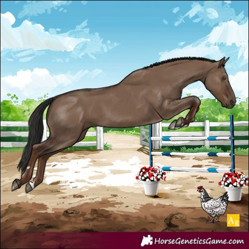 Horse Color:Unknown 