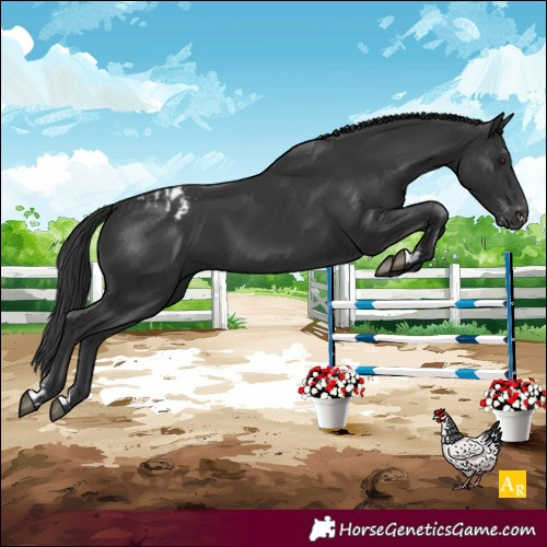 Horse Color:Black and Black Varnish