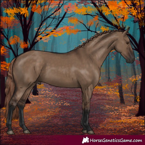Horse Color:Liver Red Dun Rabicano