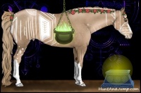 Horse Color:Liver Chestnut Pearl 