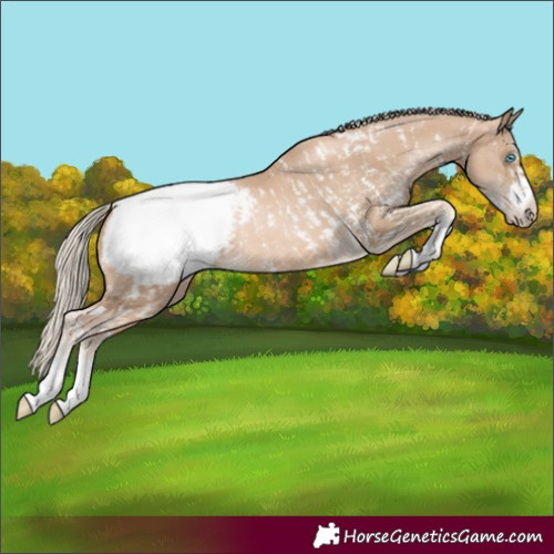 Horse Color:Chocolate Palomino Pearl Sabino Snowcap Rabicano and Chocolate Palomino Pearl Snowcap Rabicano