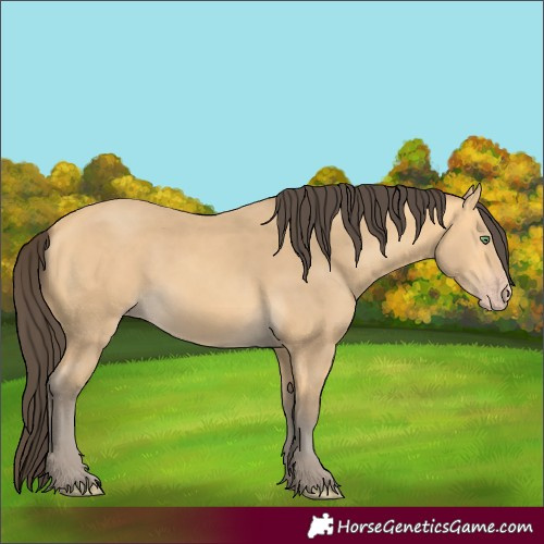 Horse Color:Amber Cream Champagne