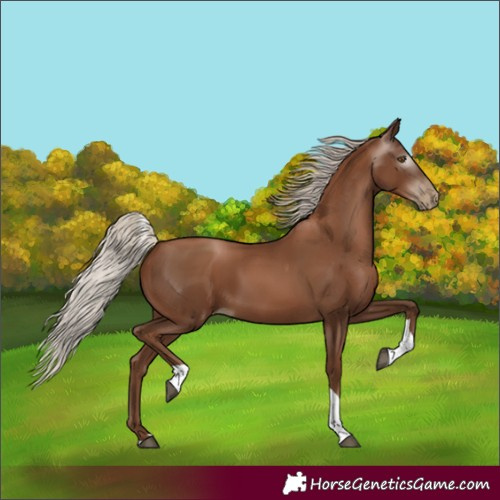 Horse Color:Gray Silver Black Pearl Tobiano 