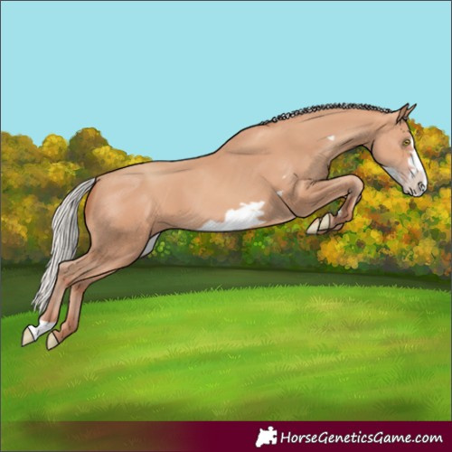 Horse Color:Silver Amber Champagne Frame 