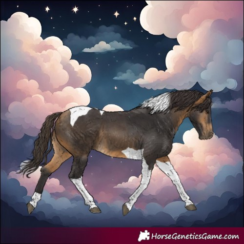 Horse Color:Buckskin Tobiano