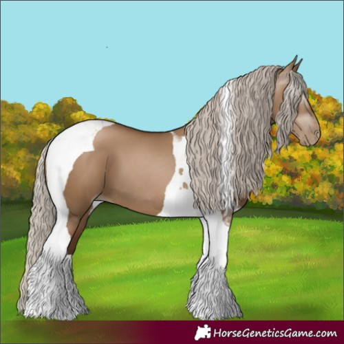 Horse Color:Gray Silver Grullo Pearl Tobiano 