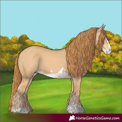 Horse Color:Red Dun Frame