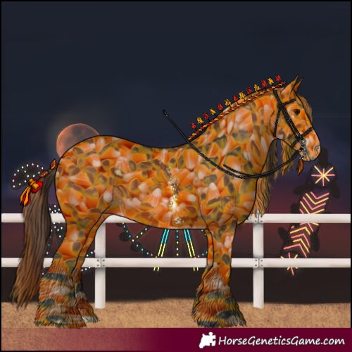 Horse Color:Bay Sabino