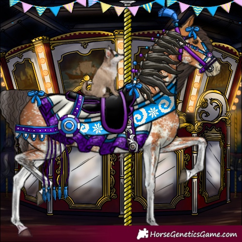 Horse Color:Bay Sabino 