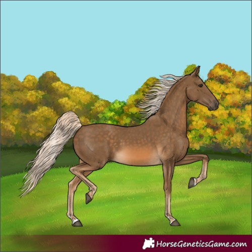 Horse Color:Chocolate Palomino