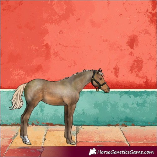 Horse Color:Chocolate Palomino