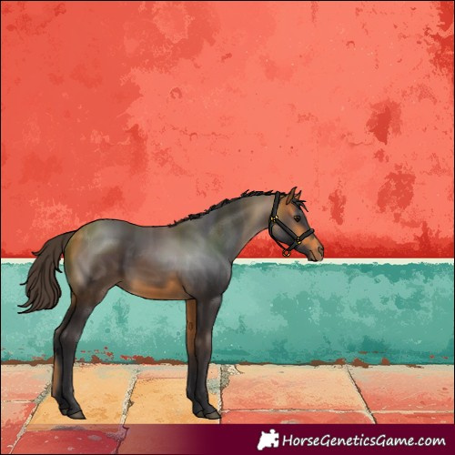 Horse Color:Buckskin 