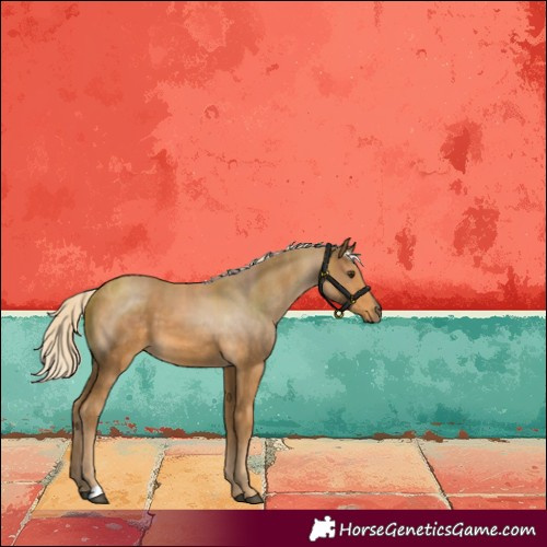 Horse Color:Palomino 