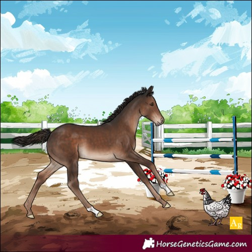 Horse Color:Liver Chestnut 