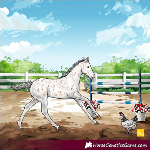 Horse Color:White Spotted Silver Bay Leopard 