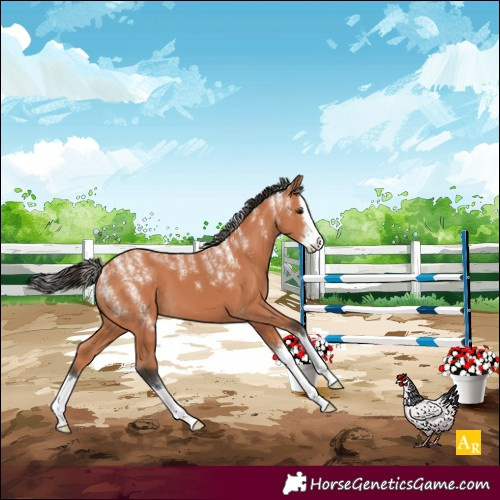 Horse Color:Powder White Bay Splash 