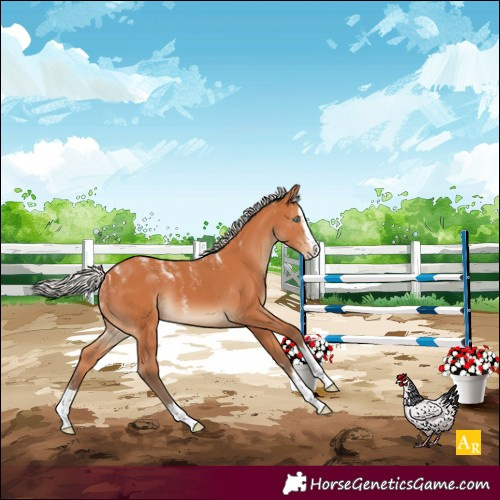 Horse Color:Powder White Silver Bay Splash 