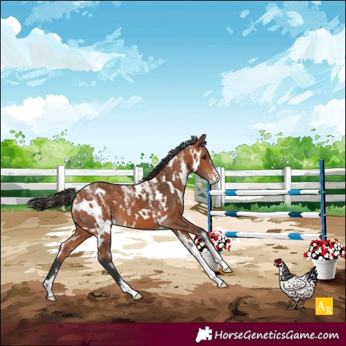 Horse Color:Powder White White Spotted Bay 