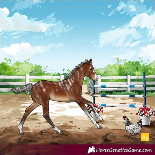 Horse Color:Powder White Gray Silver Bay