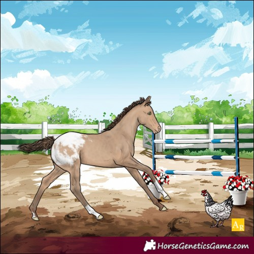 Horse Color:Amber Champagne Varnish