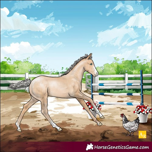 Horse Color:Silver Buckskin Pearl Sabino Rabicano
