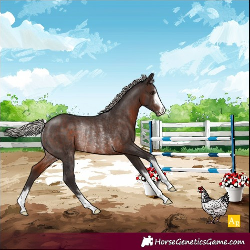 Horse Color:Silver Brown Rabicano