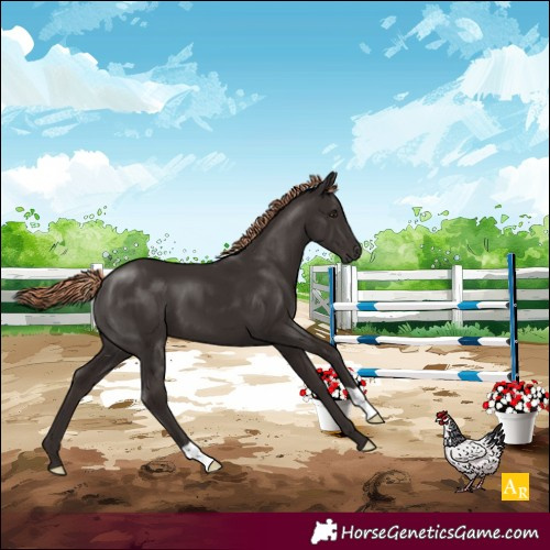 Horse Color:Liver Chestnut