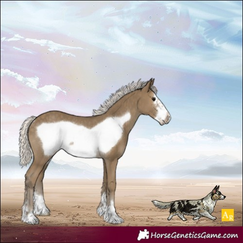 Horse Color:Silver Smoky Black Frame Rabicano 