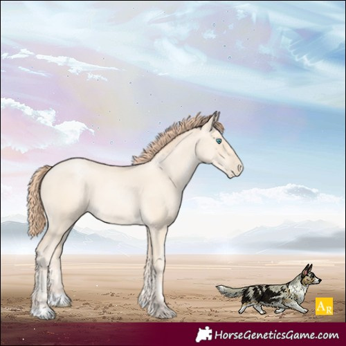 Horse Color:Classic Cream Champagne Pearl 