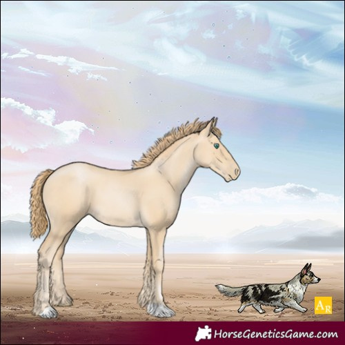Horse Color:Smoky Black Pearl 